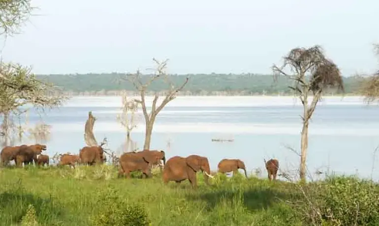 17-Day Tanzania Safari & Cultural Adventure | Serengeti, Ngorongoro, Kilimanjaro & Lake Natron